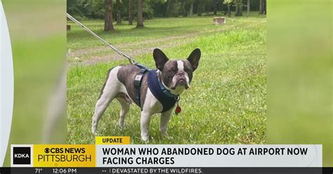 Woman accused of abandoning dog at Pittsburgh International Airport held for court on all charges